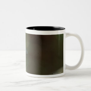 Libelle 5 zweifarbige tasse