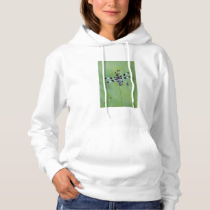 Libelle auf Gras sitzend, Kanada Hoodie