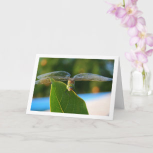 Libelle auf grünem Blatt Karte