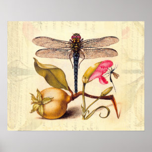 Libelle Botanische Natur Wildtiere Poster
