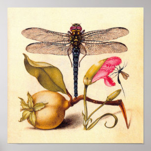 Libelle Botanische Natur Wildtiere Poster
