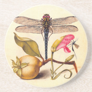 Libelle Botanische Natur Wildtiere Sandstein Untersetzer