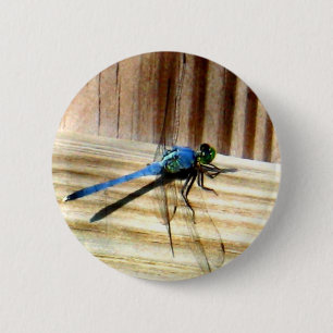 Libelle Button