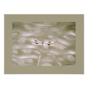 Libelle durch Linda Becker Fotodruck