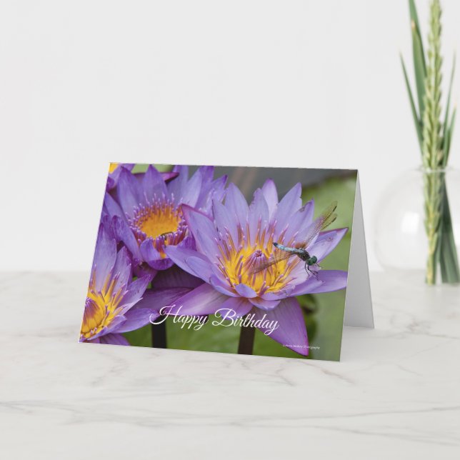 Libelle-Geburtstagskarte Karte (Vorderseite)