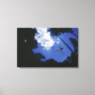 Libelle im Flug, Flügelschlag Leinwanddruck