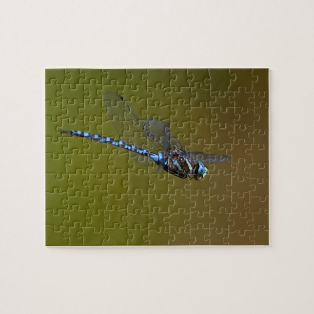 Libelle im Flug Puzzle (Horizontal)