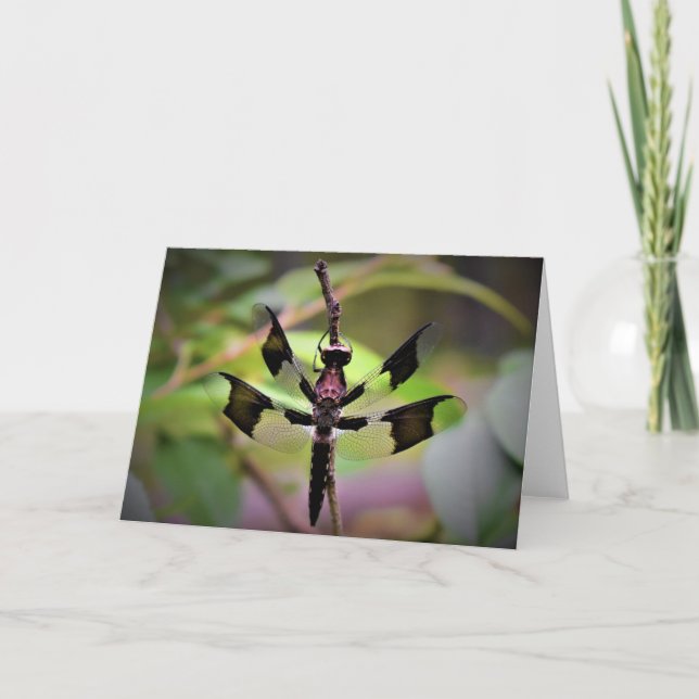 Libelle, Karte (Vorderseite)