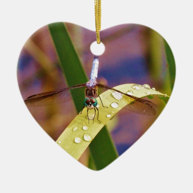 Libelle Keramikornament (Vorne)