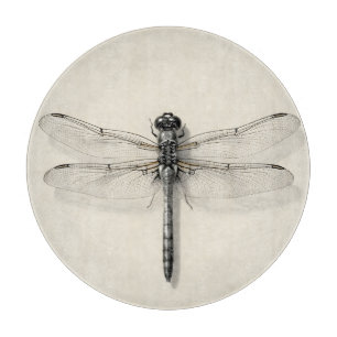 Libelle Metallisch Detaillierte Vintage-Entomologi Schneidebrett
