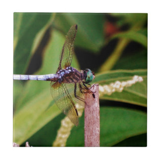 Libelle mit weißen Blume Fliese