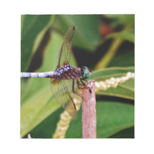 Libelle mit weißen Blume Notizblock