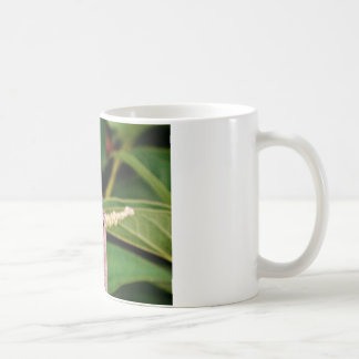 Libelle mit weißen Blume Tasse