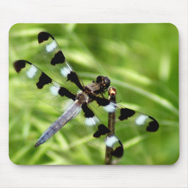 Libelle Mousepad (Vorne)