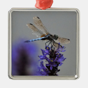Libelle Ornament Aus Metall