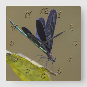 Libelle Quadratische Wanduhr
