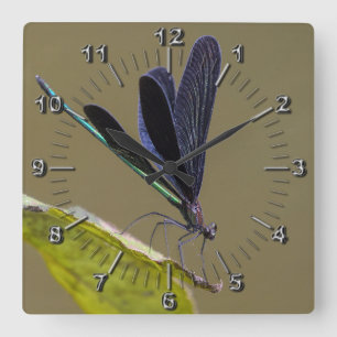 Libelle Quadratische Wanduhr