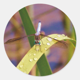Libelle Runder Aufkleber