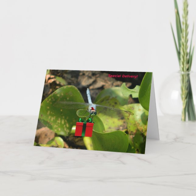 Libelle Sankt Feiertagskarte (Vorderseite)