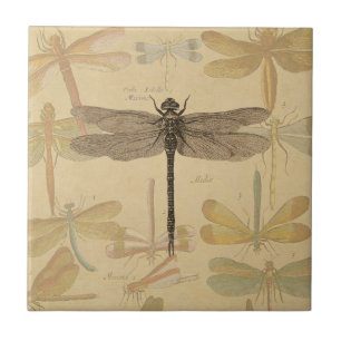 Libelle Vintage Antik Klassik Natur Fliese