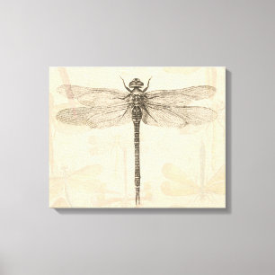 Libelle Vintage Antik Klassik Natur Leinwanddruck