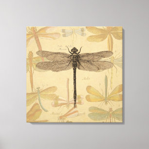 Libelle Vintage Antik Klassik Natur Leinwanddruck