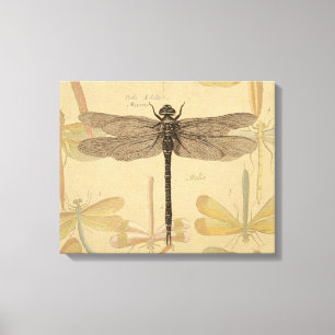 Libelle Vintage Antik Klassik Natur Leinwanddruck