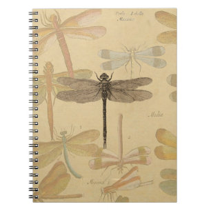Libelle Vintage Antik Klassik Natur Notizblock