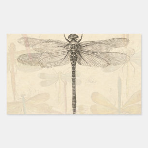 Libelle Vintage Antik Klassik Natur Rechteckiger Aufkleber