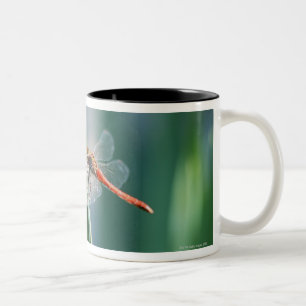 Libelle Zweifarbige Tasse
