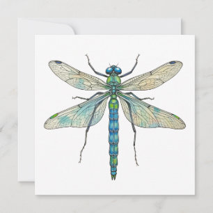 Libellen Botanische Kunst Insektenliebhaber Naturf Karte