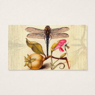 Libellen-Botanische-Natur-Wildlife-Hoefnagel-Kunst