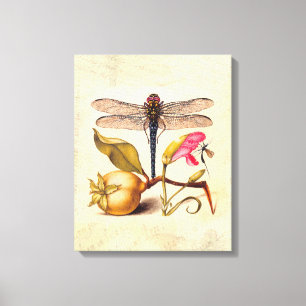 Libellen-Botanische-Natur-Wildlife-Hoefnagel-Kunst Leinwanddruck
