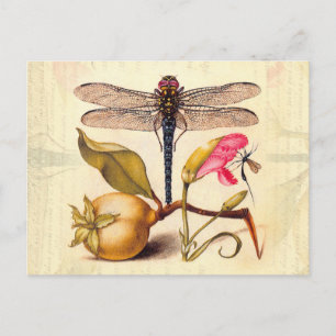 Libellen-Botanische-Natur-Wildlife-Hoefnagel-Kunst Postkarte