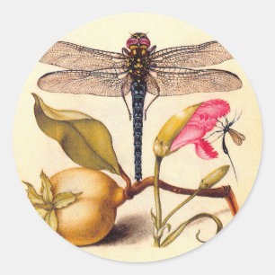 Libellen-Botanische-Natur-Wildlife-Hoefnagel-Kunst Runder Aufkleber