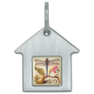 Libellen-Botanische-Natur-Wildlife-Hoefnagel-Kunst Tiermarke