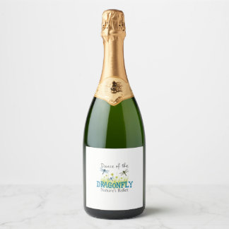 Libellen fliegendes Insekt Enthusiast Entomologie