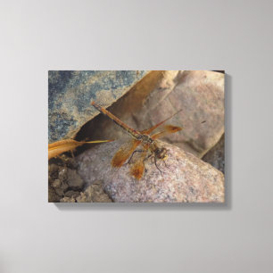 Libellen-Foto auf Leinwanddruck