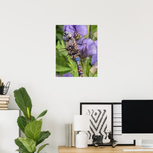 Libellen-Foto mit blauen Augen Poster