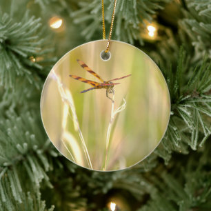 Libellen-Foto-Schmuck Keramik Ornament