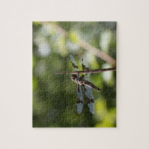 Libellen-Fotografie-Puzzlespiel Puzzle
