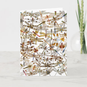 Libellen Galore! Grußkarte Karte