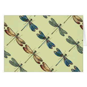 Libellen-Illustrationen