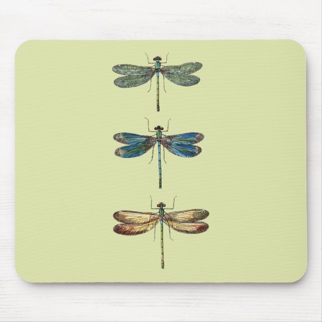 Libellen-Illustrationen Mousepad (Vorne)