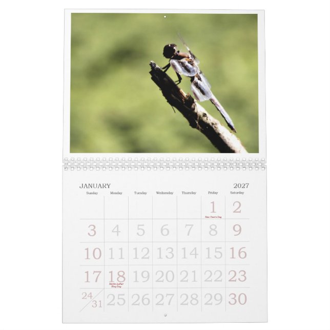 Libellen-Kalender 2011 Kalender (Jan 2027)
