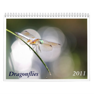 Libellen-Kalender 2011 Kalender