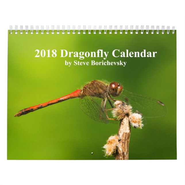 Libellen-Kalender 2018 Kalender (Titelbild)