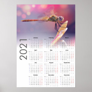 Libellen-Kenderkalender 2021 Poster - Montag start