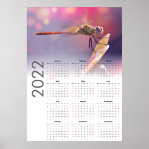 Libellen-Kenderkalender 2022 Poster - Sonntag Star
