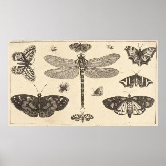 Libellen, Ladyvögel und Schmetterlinge Poster